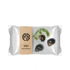 옆집샵 생태 우렁이 관찰 어항 청소 수조 이끼 제거 유치원 교재, 1개