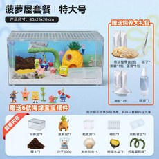 亞克力爬寵飼養箱 烏龜水陸生態守宮蜥蜴角蛙雨林造景寄居蟹飼養盒, 特大號進階款[快樂比奇堡], 1個