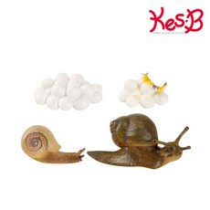 [캐스비] [캐스B]네이처 성장과정피규어달팽이(2775), 상세 설명 참조