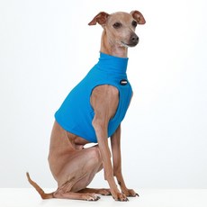 도기스타 아이쥐옷 이탈리안그레이하운드옷 여름 쿨링 크롭탑, 1개, 파랑