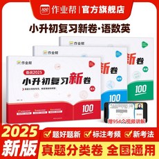【2件9.8折】2025國小小陞初複習備考新捲必備考試衝刺真題分類專項練習【椰子圖書 】, 【語文】小升初複習新卷,小升初