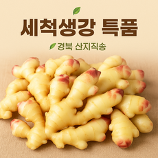 [온곳간] 경북 세척생강 특품 / 생강청 편강 생강차용 프리미엄 / 국산 생강, 1박스, 500g