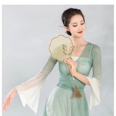 中國風古典舞表演服 漸變淺綠色網紗上衣褲裙套裝, 煙綠色上衣,L