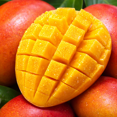 [하루특가] 100박스한정 고당도 프리미엄 애플망고, 1박스, 1kg (2~3과)