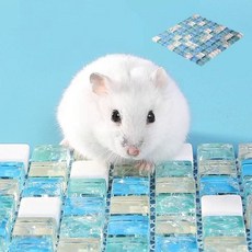 중형 애완동물 쿨매트 햄스터 고슴도치 패드 쿨방석 은신처 침대 99481pc 1(ea)