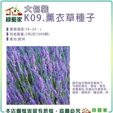 綠藝家 K09.薰衣草種子 大包裝 2克(約1000顆), 1個