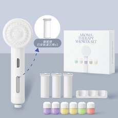 韓國 SHIFT 除氯淨水專家香氛膠囊蓮蓬頭豪華組 盒裝 自動排水 過濾 香氛膠囊 膠囊架 蓮蓬頭 濾芯條, 1個, 經典白