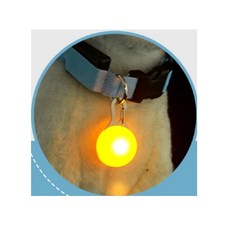 반려견 강아지 야간 산책 강력한 LED 팬던트, 블루