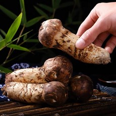자연산 냉동 송이 버섯 자연 송이버섯, 500g (3등급), 1개