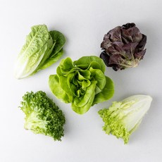 유러피안 샐러드 국내산 신선 채소, 800g, 1개