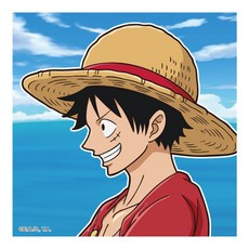 원피스 몽키D루피 그림그리기 캔버스 25x25cm, 1개, 혼합색상