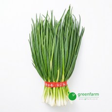 깐쪽파, 1kg, 1개