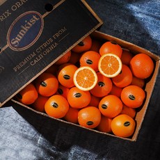 장보남 고당도 블랙라벨 오렌지, 1박스, 10kg(중소과/60-70과내외)
