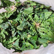 해풍 맞은 남해 시금치 털이 해남 시금치 제철 나물, 1개, 1kg