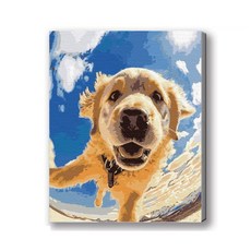 MANTO 台灣製造 大尺寸 DIY數字油畫 50x65cm 貓咪狗狗萌寵 初學者專用, 飛翔汪星人, 1套