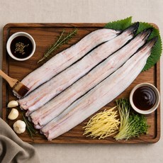 국내산 고창 자포니카 민물장어 1kg 손질 활장어, 단품, 단품