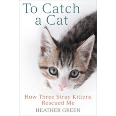 (영문도서) To Catch a Cat: How Three Stray Kittens Rescued Me Paperback, Berkley Books, English, 9780425281987