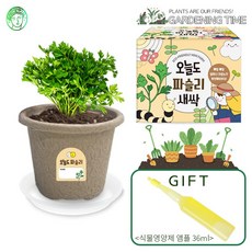 [식물영양제증정]오늘도 새싹 - 지피포트 파슬리 키우기 / 모종키우기 원예체험 재배 식물키우기, 1개