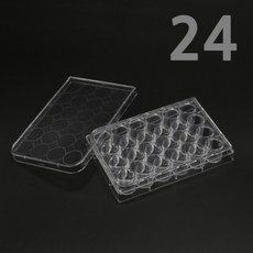 아리랑과학 홈판 24홀 ari-c2010-024 과학실습 사이언스키트 문구용품
