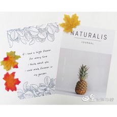 日皇 簡約雜誌風格拍照背景卡 A4尺寸 攝影道具, 1號, 1個