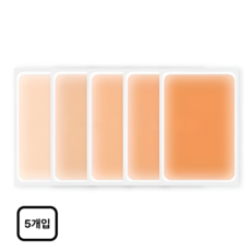 노르타 타투 커버 시트 문신 흉터 가리기 스티커, 5개, 혼합 5종