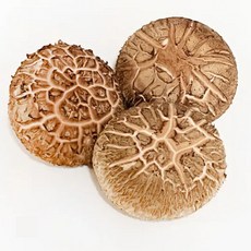 [예산농장] 생표고버섯 파지 하품 상품 중품 특품 화고 표고버섯 실속형 중, 1개, 1kg