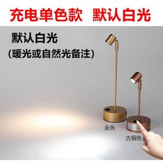 핀조명 무선 조명 LED 충전 스탠드 디스플레이 3000mAh 피규어 침대 수면등, 11 골드 솔리드 높이 54cm 화이트라이트 웜라이트