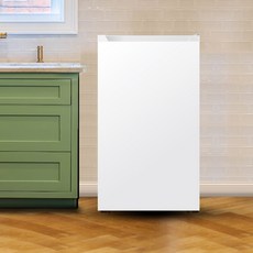 삼성전자 일반형 냉장고 89L 방문설치, 화이트, RR09BG014WW