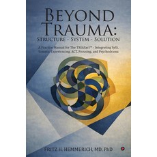 (영문도서)Beyond Trauma: Structure - System - Solution: A Practice Manual for The TRIASact... Paperback, Notion Press, English, 9798902073062