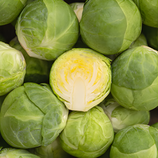 제주 달콤 신선한 방울 양배추 미니양배추, 1개, 500g