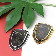 DC 아이오닉 럭셔리 드레스업 레터링 쉴드 엠블럼 호환 몰딩, 실버(1P)