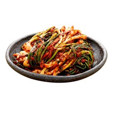 하나김치 알싸하고 매콤한 파김치, 4kg, 1개