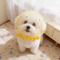 파스텔펫 반려동물 메쉬 얼굴망, 옐로우, 1개