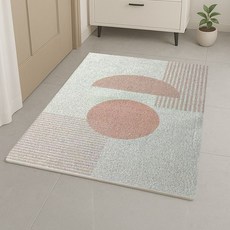 60x90 cm 제이데이 현관 코일 매트 아파트 신발장 아파트 베란다 발매트 모던 북유럽 패턴, 1개, 로즈문
