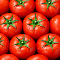 [한정특가] 하루딱100박스 산지직송 특품 완숙토마토, 1박스, 5kg(랜덤)