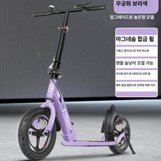 더즐리 수동킥보드 클래식 접이식 수동 성인 킥보드, 1개, 1cm, 히비스커스퍼플 일체형 바퀴 높이형 바구니 포함