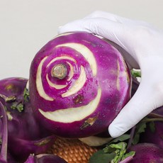 [청정제주] 아삭하고 달큰한 명품채소 제주 콜라비 로얄과, 2.5kg, 1개