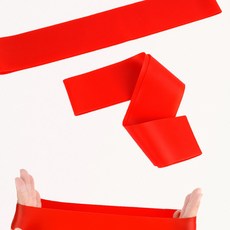 홈트레이닝 튜빙 필라테스 요가 라텍스 저항 밴드운동 쓱템, 1개