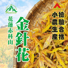 信全 花蓮赤科山金針花, 1個
