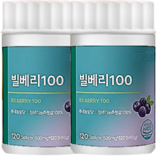 오스트리아산 빌베리정 식약청인정 해썹인증, 4개, 120정
