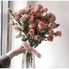 에밀리정원 핑크미니장미 반단 농장직송 생화택배 화훼농가돕기