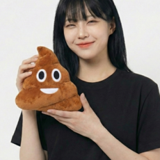 조이데이 똥 모양 인형 쿠션, 브라운 브라운