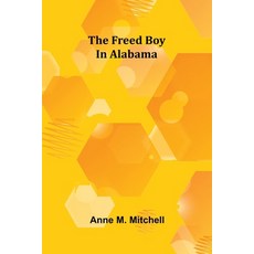 (英文圖書)The freed boy in Alabama 平裝版, Alpha Edition, 英文