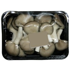 꽃느타리버섯 송이 2Kg내외 3개 이강산닷컴