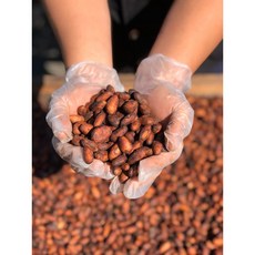 TC巧舖烘培可可豆台灣巧克力 - 屏東可可, 1個, 150g