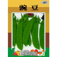 【野菜部屋~】J07 豌豆種子 荷仁豆 荷蘭豆 嫩豆莢, 1包