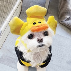 반려동물 파티촬영 착용 소품 오리 캐릭터 모자