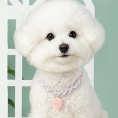 하니펫 강아지 고양이 예쁜 스마일 매듭 목걸이, 1개, 스카이