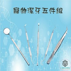 【獅子王寵物】 寵物潔牙工具 A012, 1個, 牙結石去除工具五件組