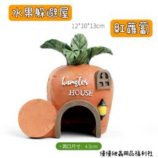 慢慢爬 水果躲避屋 造景 造型 守宮 蜥蜴 爬蟲 倉鼠 寵物, 1個, 紅蘿蔔, 紅蘿蔔